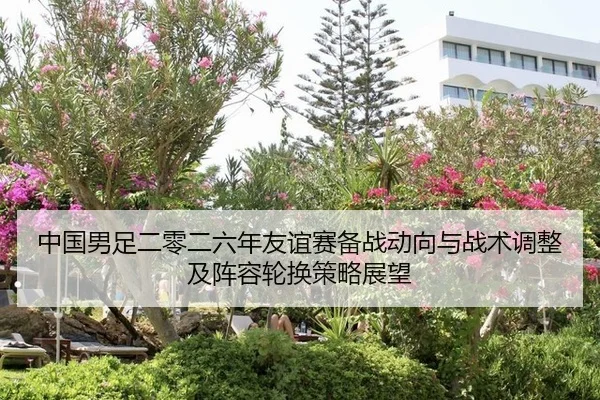中国男足二零二六年友谊赛备战动向与战术调整及阵容轮换策略展望