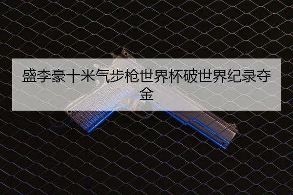盛李豪十米气步枪世界杯破世界纪录夺金