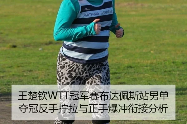 王楚钦WTT冠军赛布达佩斯站男单夺冠反手拧拉与正手爆冲衔接分析